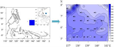 Distribution Patterns of Meiofauna Assemblages and Their Relationship With Environmental Factors of Deep Sea Adjacent to the Yap Trench, Western Pacific Ocean